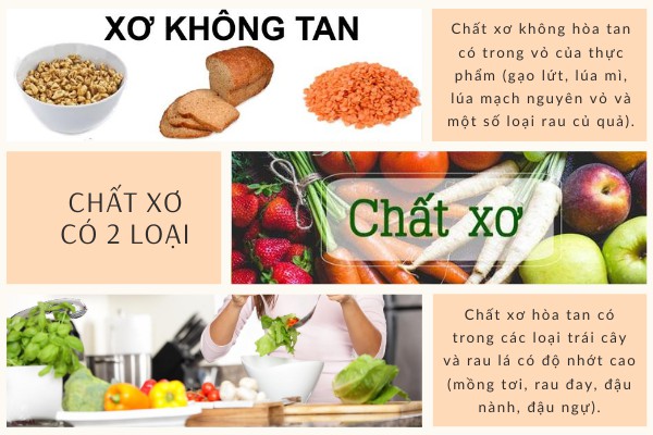 Chất xơ không hòa tan có trong thực phẩm nào? Danh sách thực phẩm và lợi ích cho sức khỏe